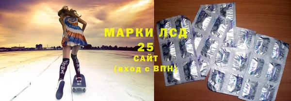 дживик Надым