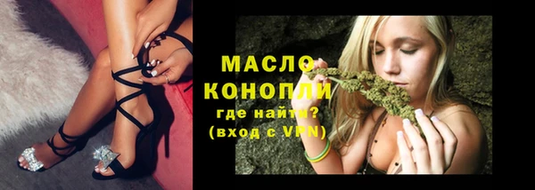 дживик Надым
