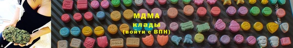 дживик Надым