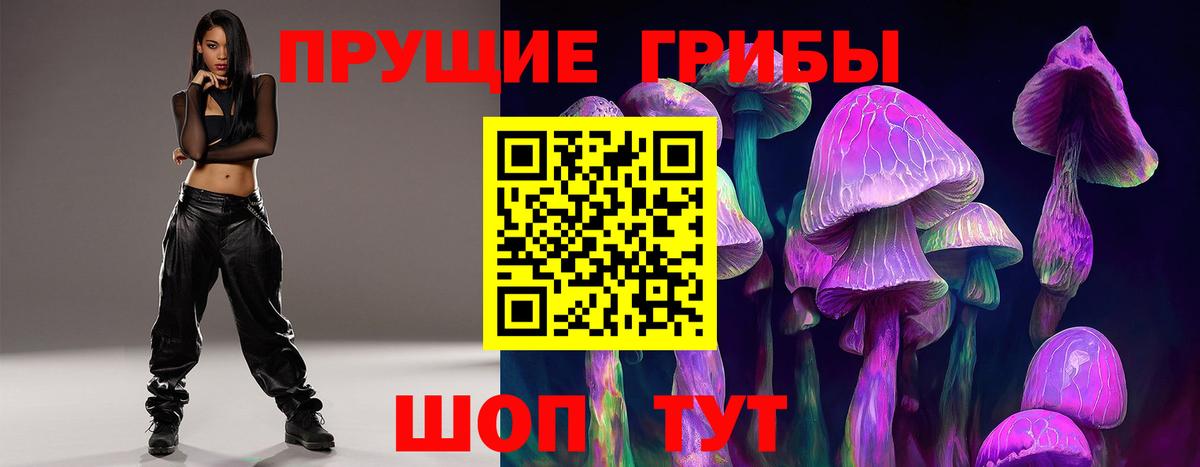 Псилоцибиновые грибы GOLDEN TEACHER  закладка  Тара 