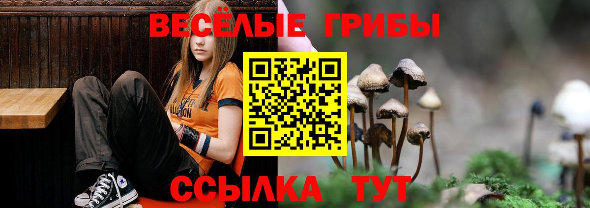 Галлюциногенные грибы Psilocybine cubensis Тара